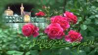 ولادت هشتمین اختر تابناک آسمان امامت و ولایت، آقا امام رضا علیه اسلام مبارکباد.